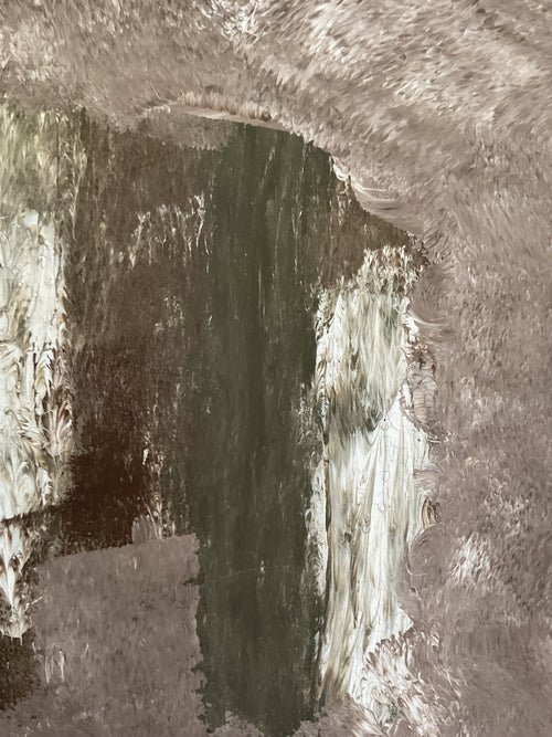 Zwischen Erde und Licht
